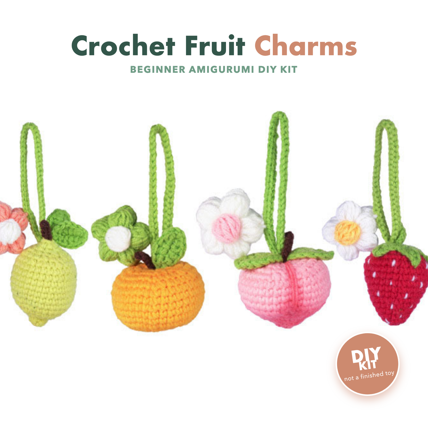 Crochet Fruit Kit for Beginners
